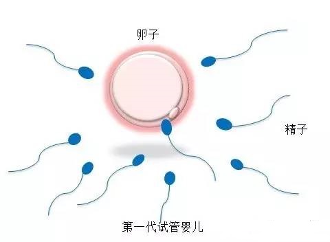 王建国